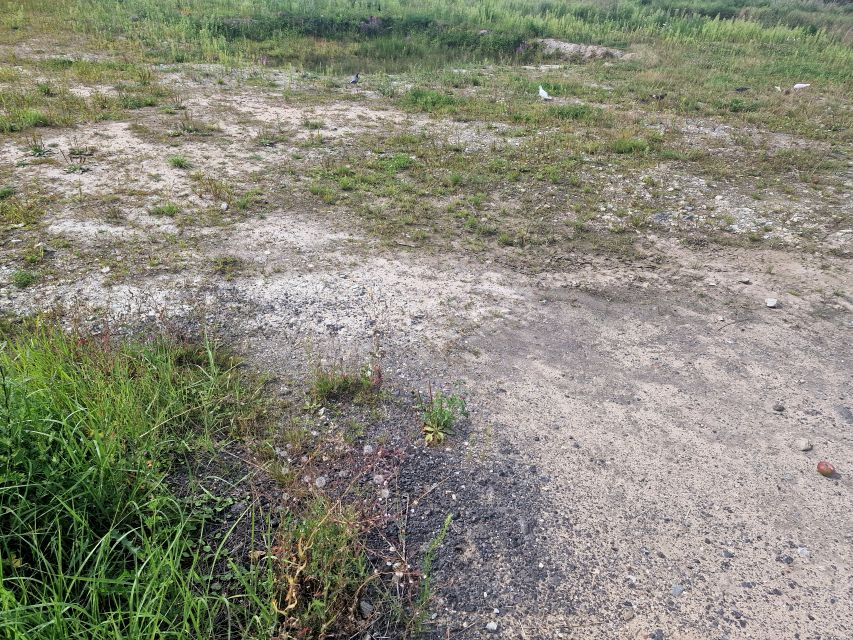 Działka budowlana Ochodze