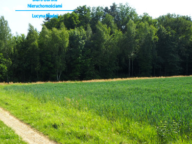 Działka budowlana Frydrychowice
