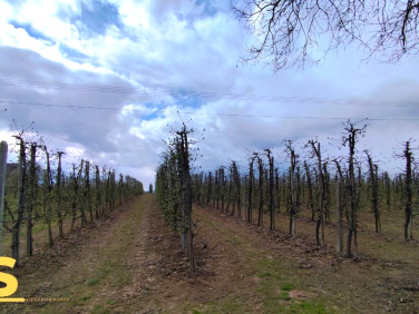 Działka rolna Głazów