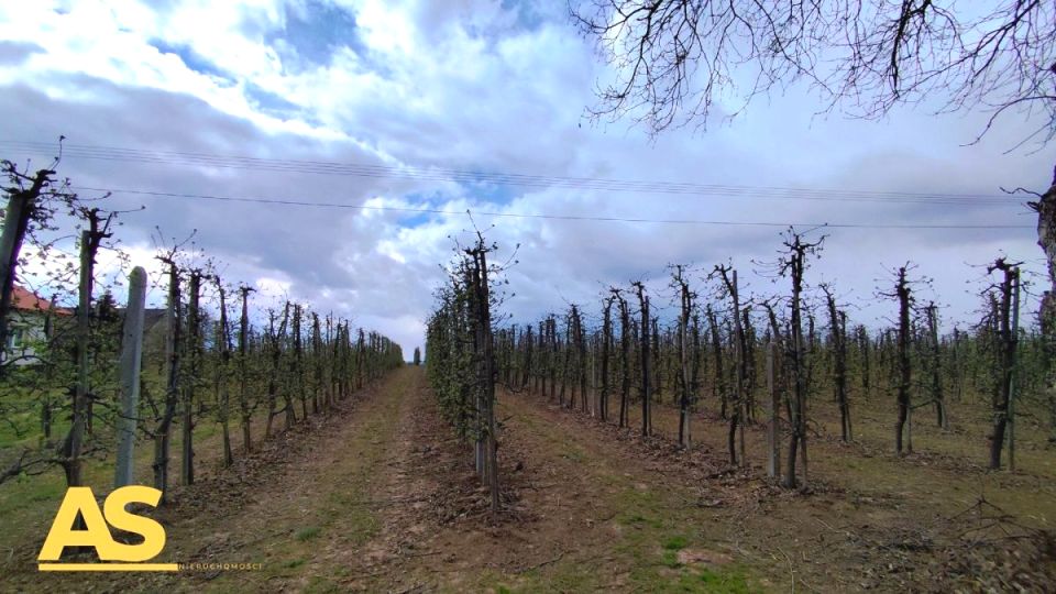 Działka rolna Głazów