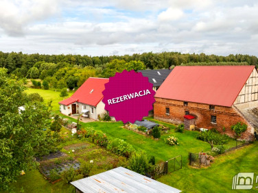 Dom Wysoka Kamieńska