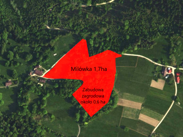 Działka rolno-leśna Milówka