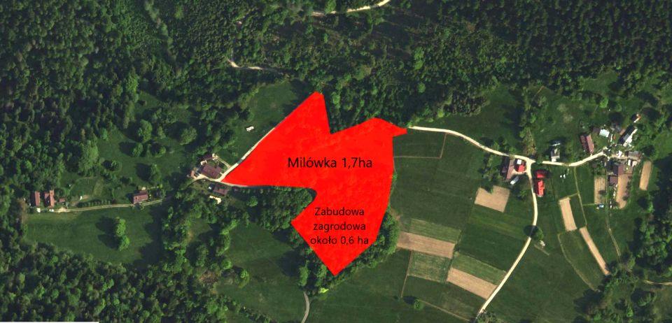 Działka rolno-leśna Milówka