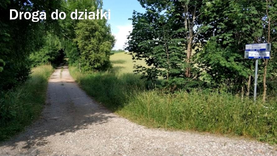 Zdjęcie 3