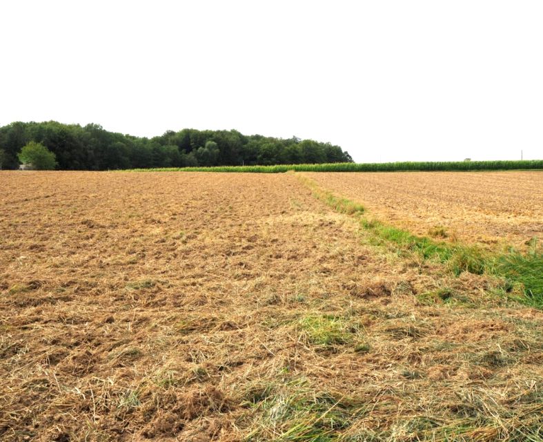 Działka budowlana Przybradz
