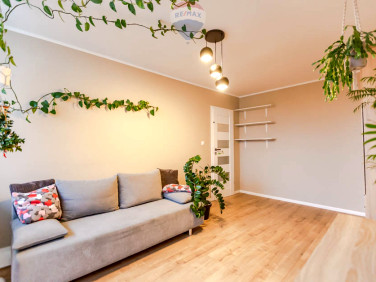 Mieszkanie Zielona Góra