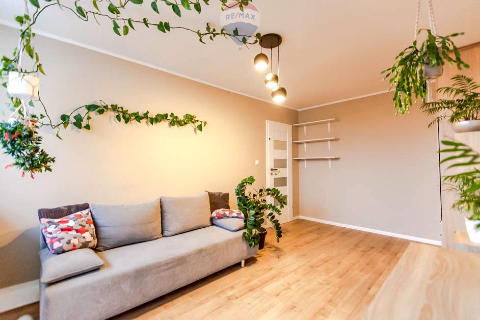 Mieszkanie Zielona Góra