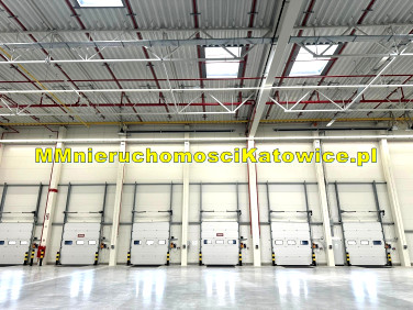 Budynek użytkowy Mysłowice wynajem