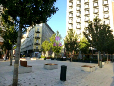 Lokal Warszawa wynajem