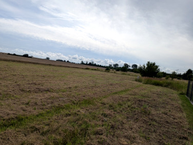 Działka budowlana Rekowo