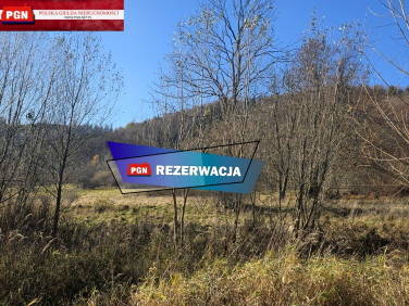 Działka budowlana Orłowiec sprzedam