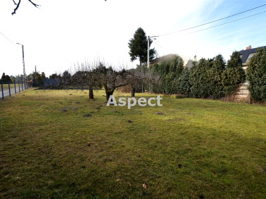 Pusta działka Orzech