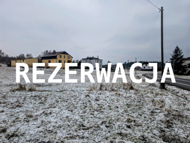 Działka przy lesie