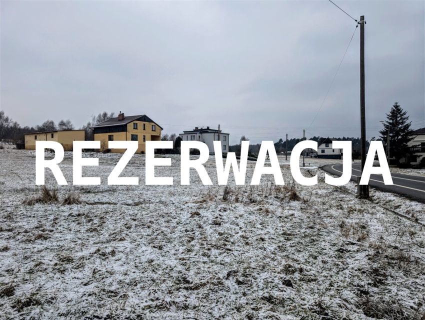 Działka przy lesie