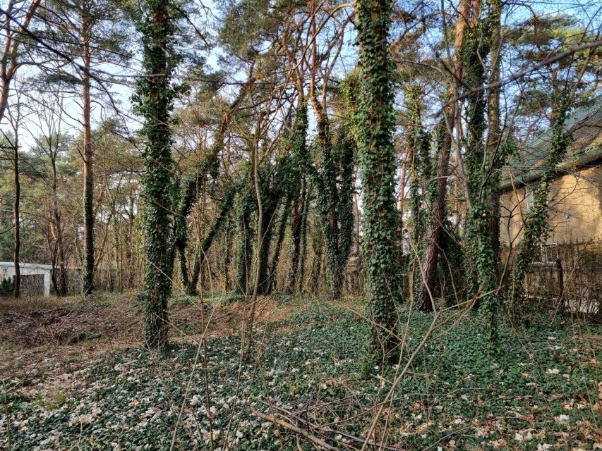 Działka budowlana Owczarnia