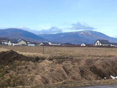 Działka budowlana Radziechowy