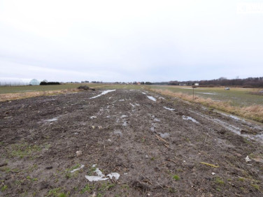 Działka rolna Radawiec Mały