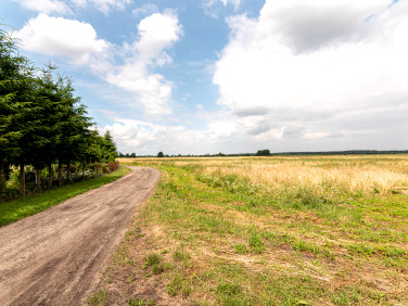 Działka rolna Rurzyca