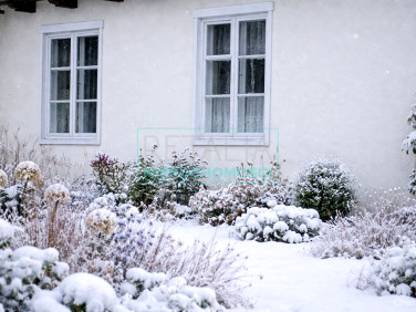 Dom Pieńki Zarębskie