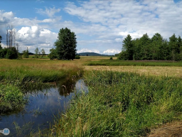 Działka inwestycyjna Korczyn