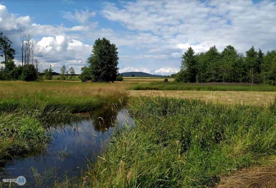 Działka inwestycyjna Korczyn