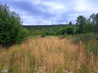 Działka inwestycyjna Hucisko
