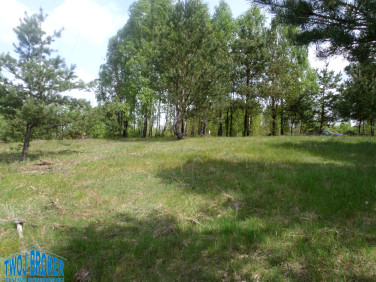 Działka budowlana Trzebuń