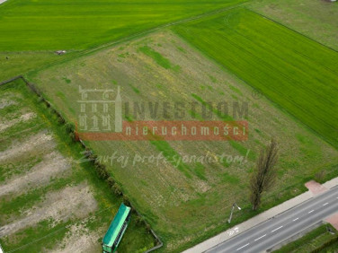 Działka budowlana Pietna