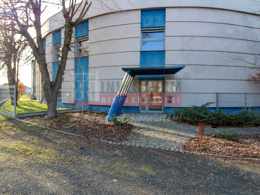 Lokal Opole sprzedaż