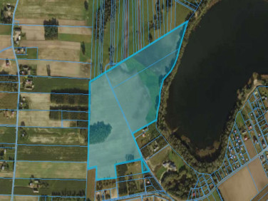 Działka siedliskowa Głodowo