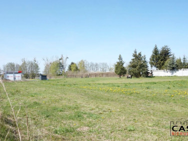 Działka usługowa Kórnik