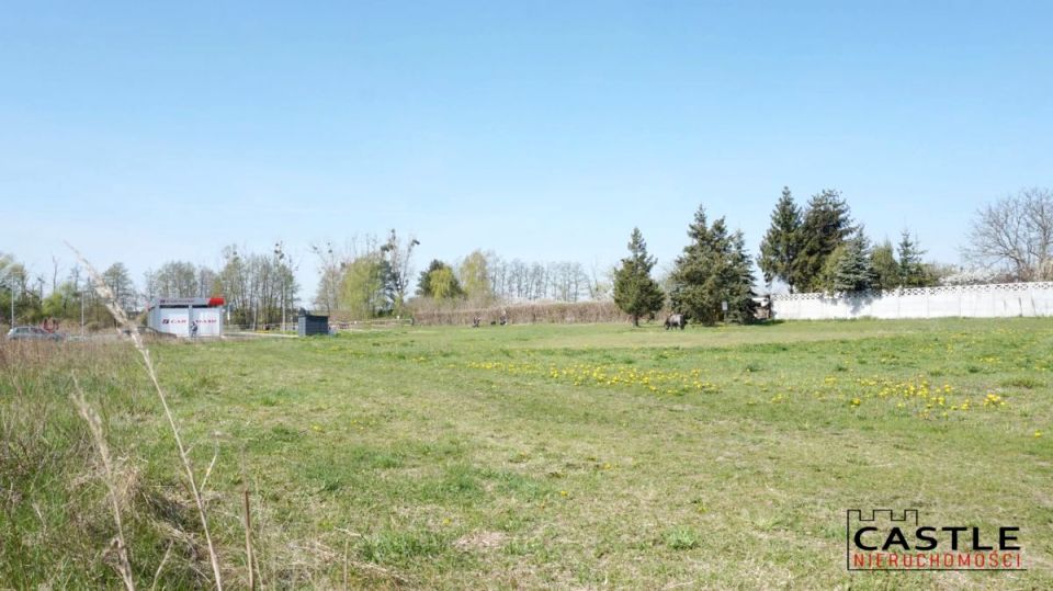 Działka usługowa Kórnik