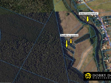 Działka rolna Sarnetki