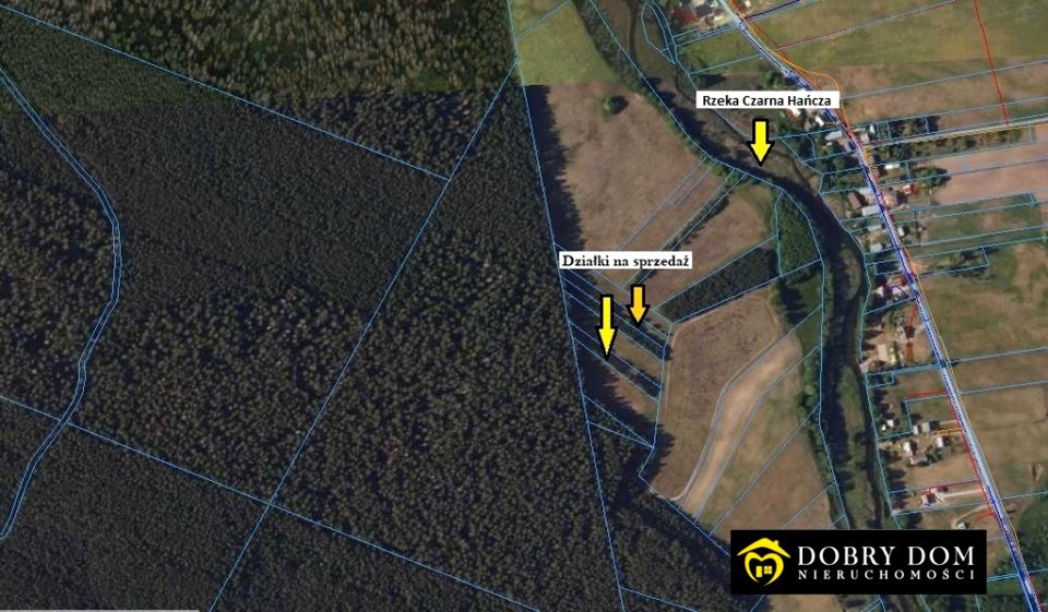 Działka rolna Sarnetki