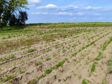 Działka budowlana Podolszyn
