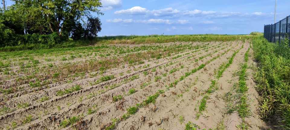 Działka budowlana Podolszyn