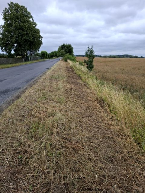 Działka Grzebienisko