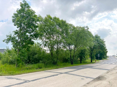 Działka usługowa Poznań