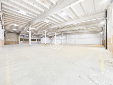 Lokal Toruń wynajem