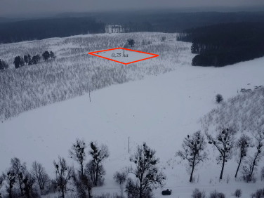 Działka rolna Tomaszyn