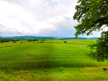 Działka budowlana Wojbórz