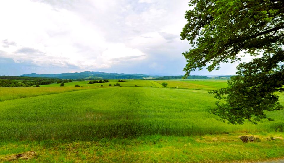 Działka budowlana Wojbórz