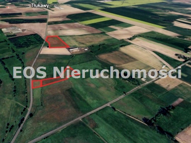 Budynek użytkowy Ryczywół sprzedaż