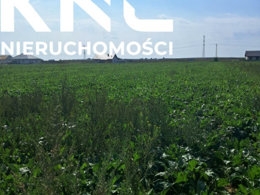 Działka budowlana Puchaczów sprzedam