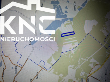 Działka leśna Brody