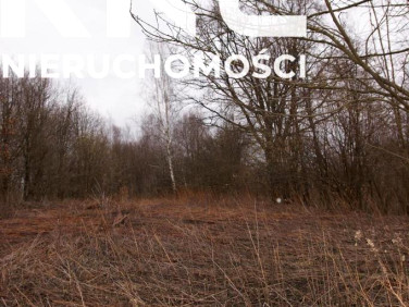 Działka budowlana Kazimierz Dolny sprzedam