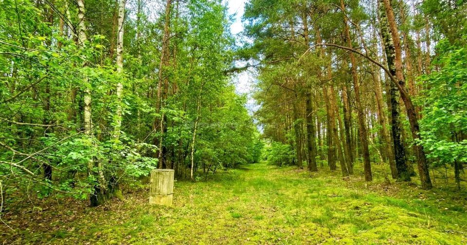 Działka budowlana Stary Adamów