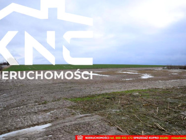 Działka budowlana Wierciszów