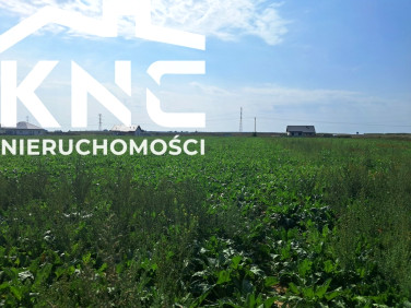 Działka Turowola-Kolonia