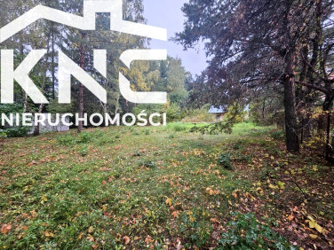 Działka rekreacyjna Rogóźno sprzedam